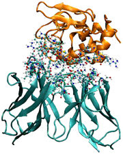 Accelerating anti-cancer drug discovery