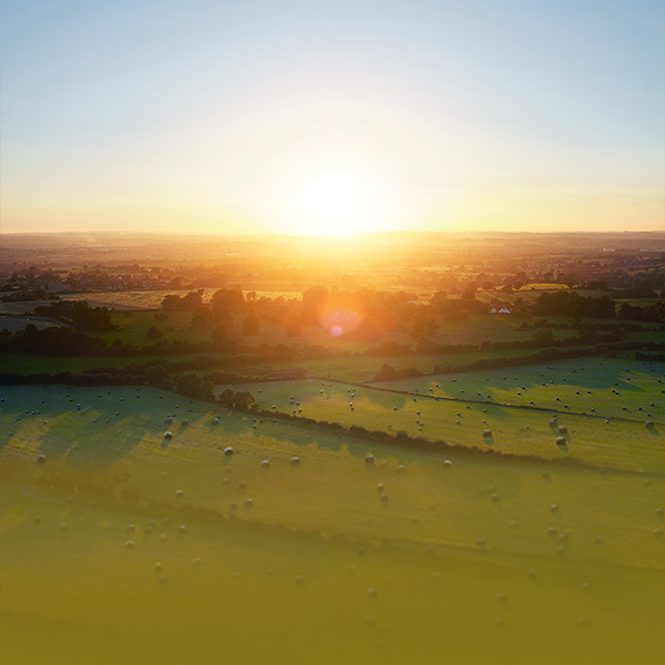 Digital Transformation Survey Report 2021