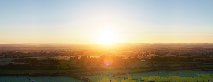 Digital Transformation Survey Report 2021