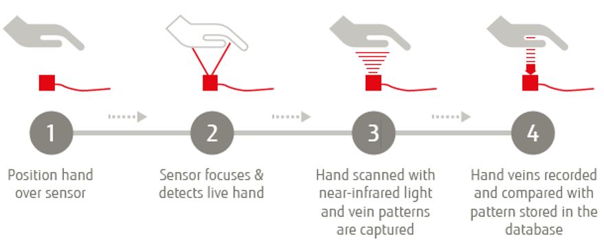 How does PalmSecure work