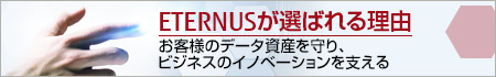 ETERNUSが選ばれる理由/お客様のデータ資産を守り、ビジネスのイノベーションを支える ETERNUSが選ばれる理由/お客様のデータ資産を守り、ビジネスのイノベーションを支える