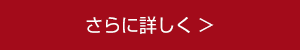 さらに詳しく さらに詳しく
