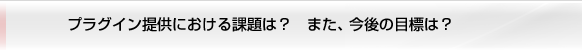 プラグイン提供における課題は？ また、今後の目標は？