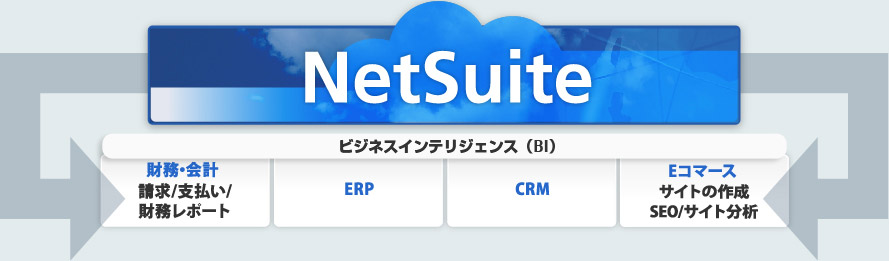 NetSuite ビジネスインテリジェンス(BI) 財務・会計請求/支払い/財務レポートERPCRMEコマースサイトの作成SEO/サイト分析 NetSuite ビジネスインテリジェンス(BI) 財務・会計請求/支払い/財務レポートERPCRMEコマースサイトの作成SEO/サイト分析