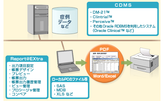 臨床試験向け帳票作成システム tsClinical Report@Extraの概要図