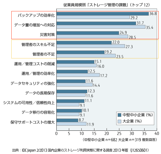 従業員規模別「ストレージ管理の課題」（トップ12）のグラフ