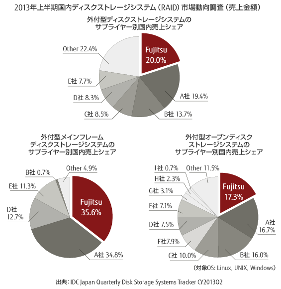 2013年上半期国内ディスクストレージシステム（RAID）市場動向調査（売上金額） 概要図