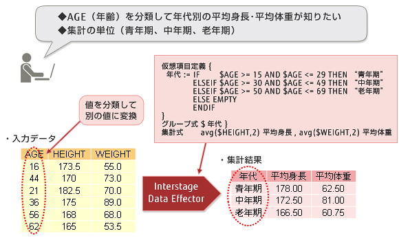 仮想項目機能 仮想項目機能
