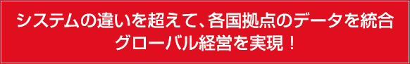 システムの違いを超えて、各国拠点のデータを統合グローバル経営を実現 !