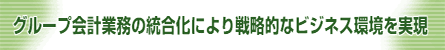 グループ会計業務の統合化により戦略的なビジネス環境を実現