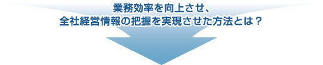 業務効率を向上させ、全社経営情報の把握を実現させた方法とは？