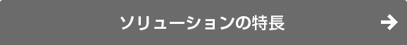 グローバル経営管理ソリューションの特長