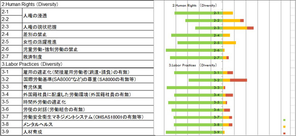 テーマ別調査結果のイメージ（以下は「人権」「労働慣行」の例）