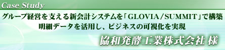 Case Study グループ経営を支える新会計システムを「GLOVIA/SUMMIT」で構築。明細データを活用し、ビジネスの可視化を実現