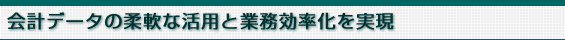 会計データの柔軟な活用と業務効率化を実現