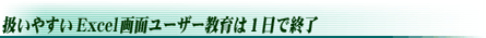 扱いやすいExcel画面ユーザー教育は1日で終了