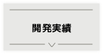 開発実績 開発実績