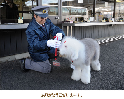 ありがとうございまーす。