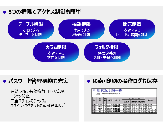 EVOLUO-RelationStage/DBplayerWEB-Jの多彩な編集機能