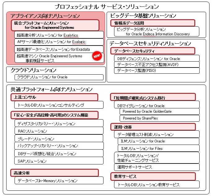 プロフェッショナルサービス・ソリューション プロフェッショナルサービス・ソリューション