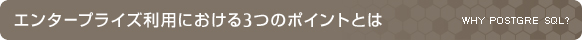 エンタープライズ利用における3つのポイントとは