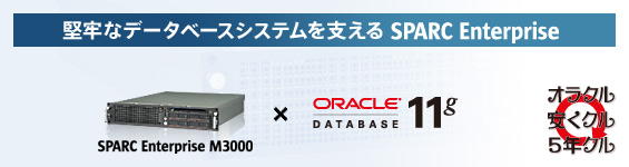 堅牢なデータベースシステムを支える SPARC Enterprise