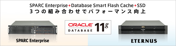 SPARC Enterprise + Database Smart Flash Cache + SSD。3つの組み合わせでパフォーマンス向上。