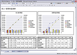 SAP BusinessObjects Web Intelligence による表示例 SAP BusinessObjects Web Intelligence による表示例