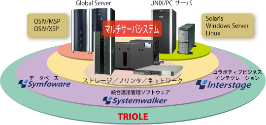 マルチサーバシステム