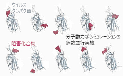 図2 ウイルスタンパク質と阻害化合物の分子動力学シミュレーション