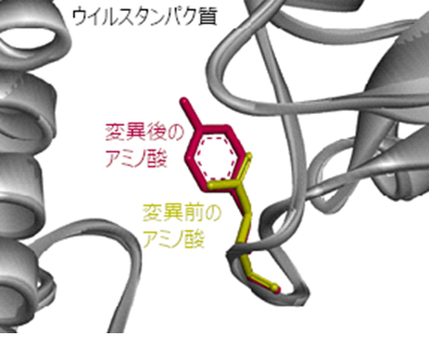 図3 変異株の性質予測