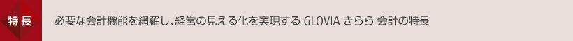 特徴 必要な会計機能を網羅し、経営の見える化を実現する GLOVIA きらら 会計の特長