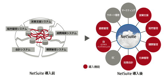 ステム概略図