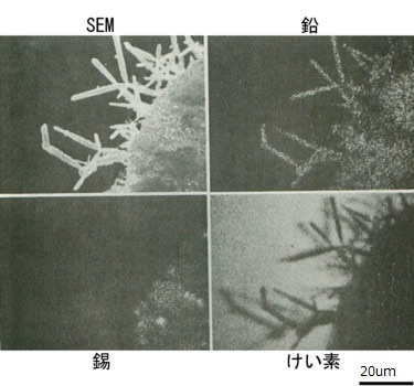 鉛はんだ電極に発生した針状物質の分析例