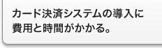 カード決済システムの導入に費用と時間がかかる。 カード決済システムの導入に費用と時間がかかる。