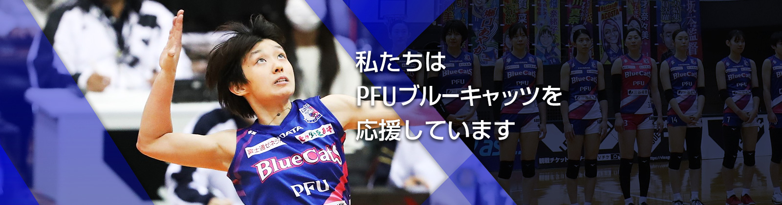 私たちはPFUブルーキャッツを応援しています