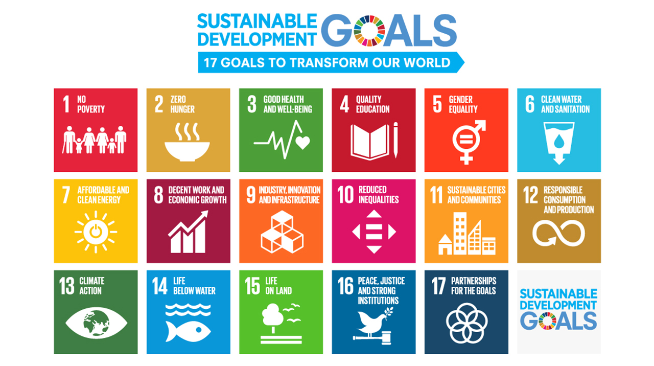 SDGs(Sustainable Development Goals) SDGs(Sustainable Development Goals)