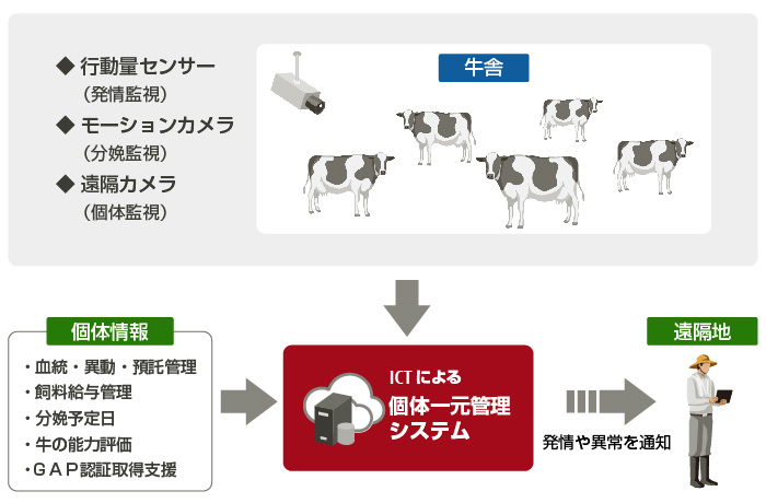 実証実験の全体概要図