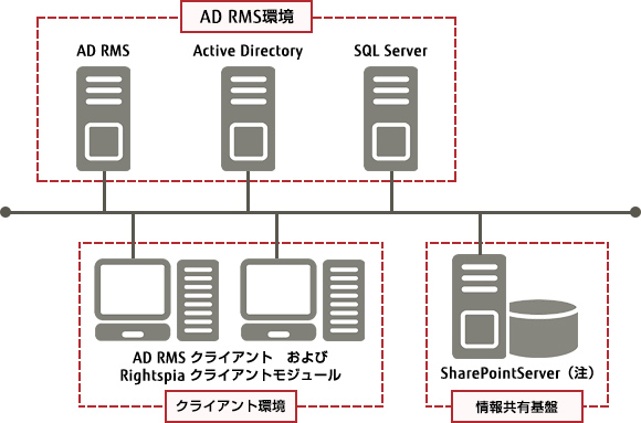 SharePoint 版