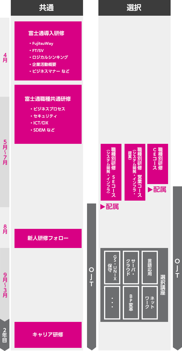 2年間の充実した新人育成プロセス