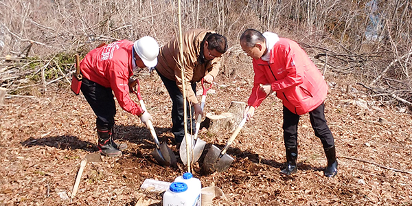 桜並木植樹への協賛（東日本大震災）