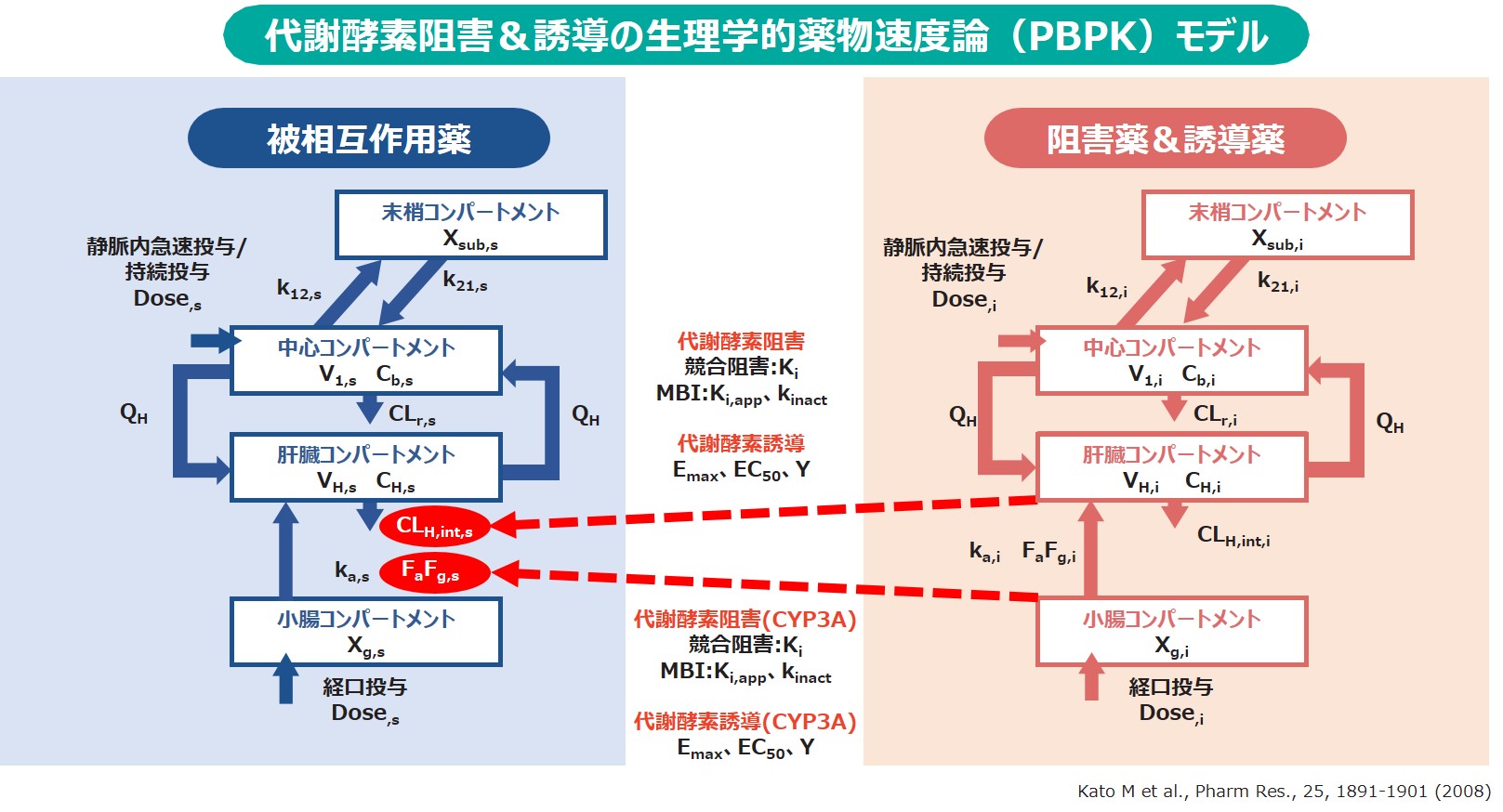 特長2 代謝酵素阻害（競合阻害・MBI）&誘導モデル