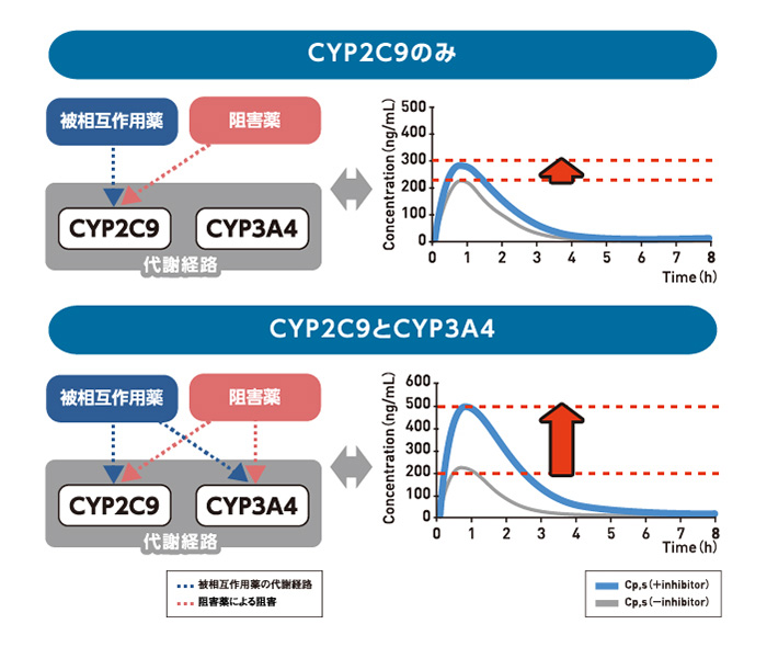 特長5複数のCYP分子種の同時阻害&誘導効果