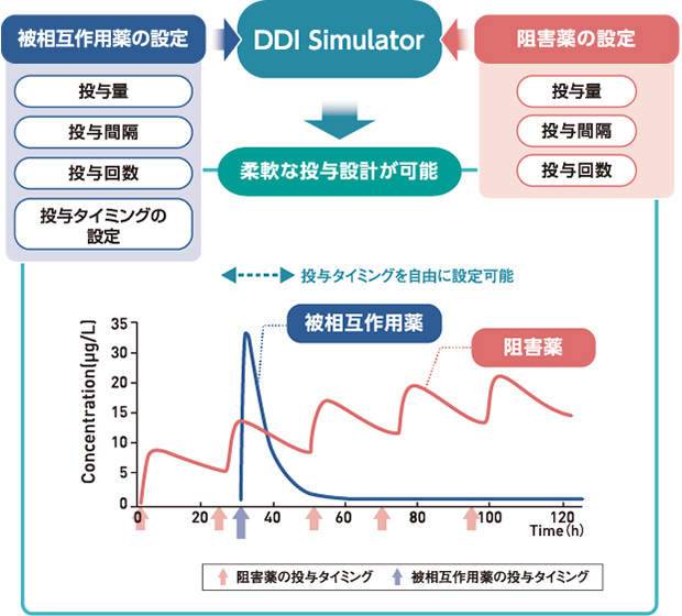 特長7 薬物相互作用の影響を考慮した投与スケジュールの最適化