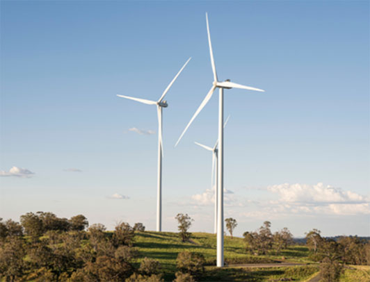 Sapphire Wind Farm CWP Renewables社が運用するニューサウスウェールズ州最大の風力発電所