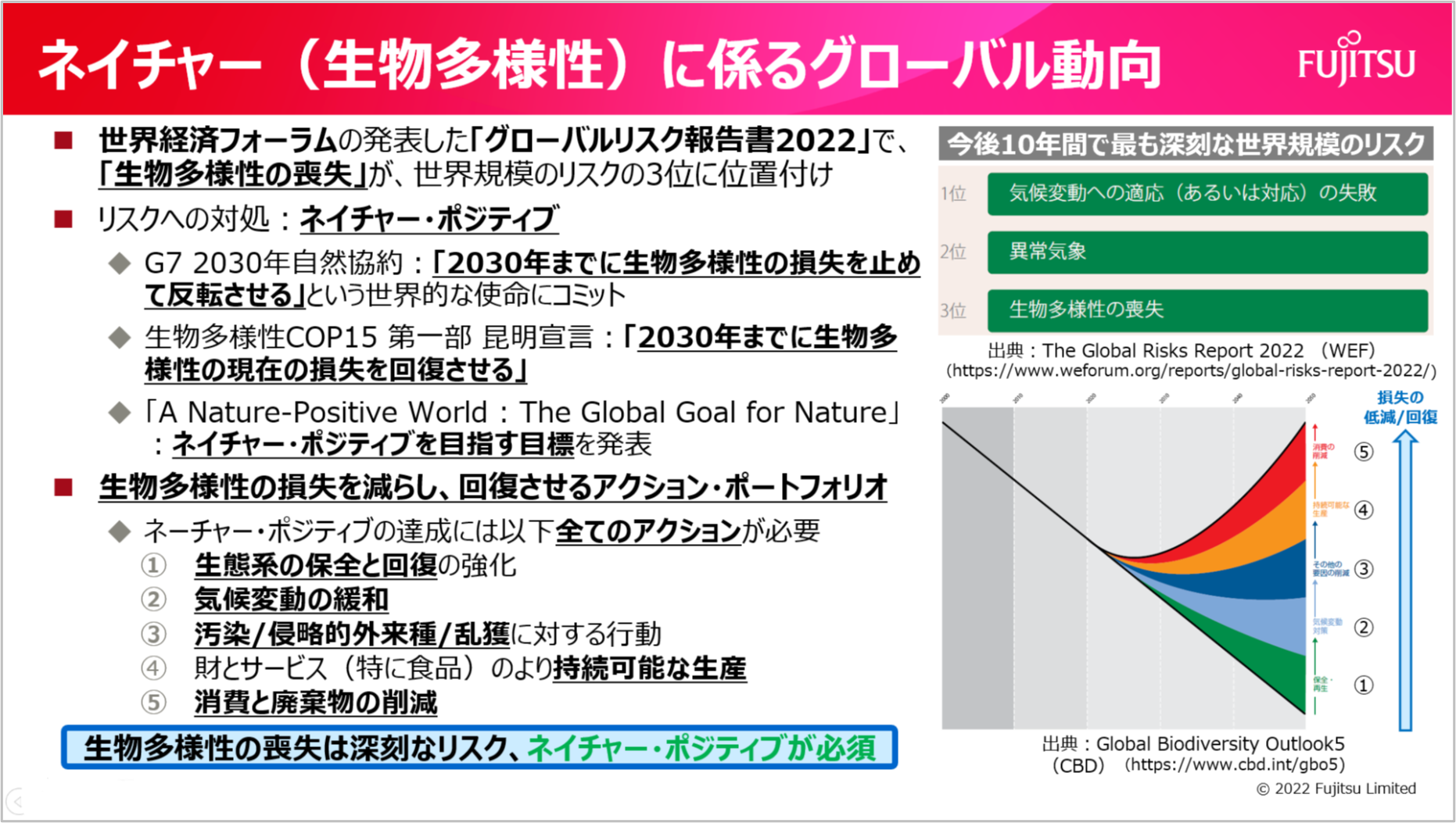 ネイチャー（生物多様性）に係るグローバル動向