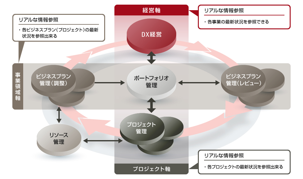 リアルな経営判断を実現する、「経営軸」「事業領域軸」「プロジェクト軸」の連動イメージ