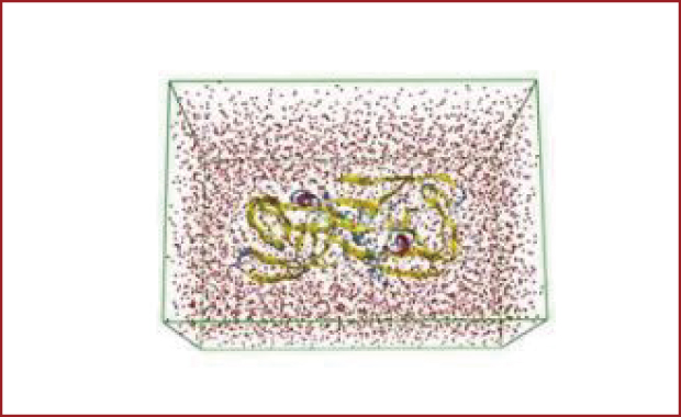 分子モデリング・シミュレーション