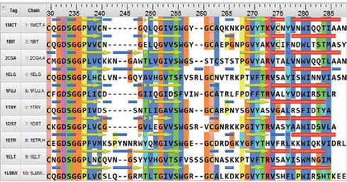 分子モデリング・シミュレーション