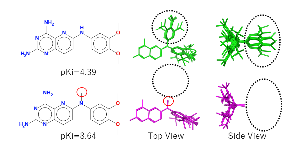 2種のDHFR阻害剤の配座解析の結果。下の分子はメチル基（赤丸）の存在により配座の自由度が制限（黒の破線）。